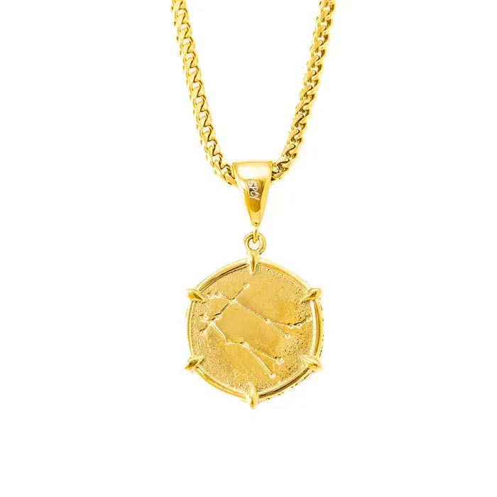 SpicyIce Necklaces Gemini Necklace